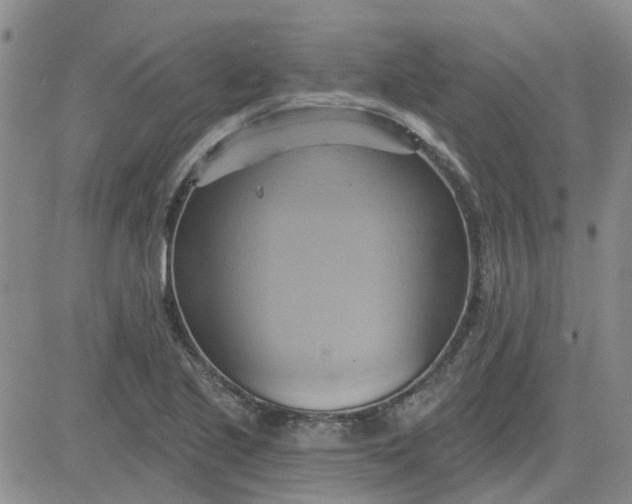 X0000081301221200701251709