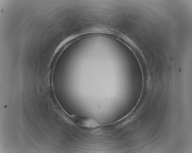 X0000081301222200701251709