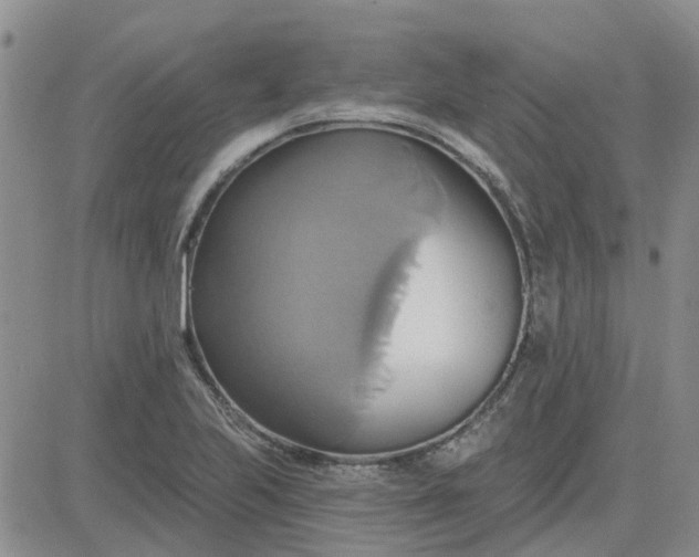 X0000081301223200701251709