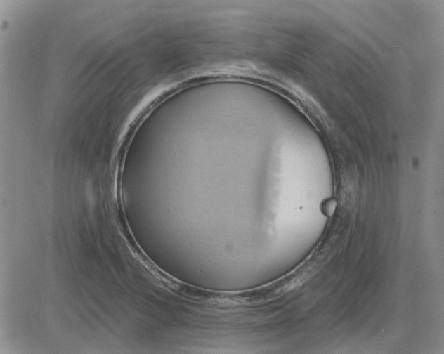 X0000081301224200701251709