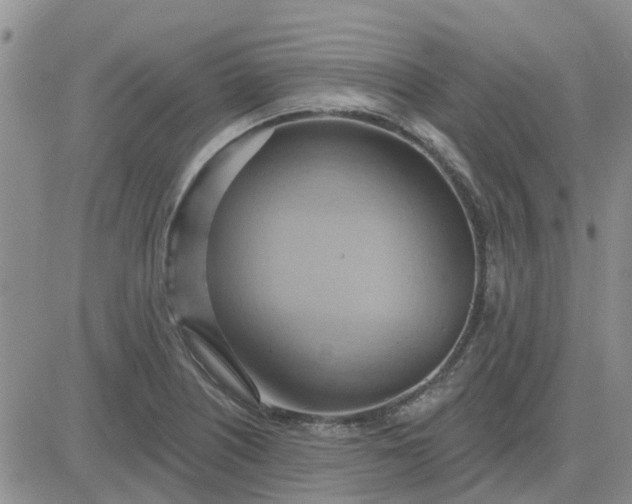 X0000081301226200701251709