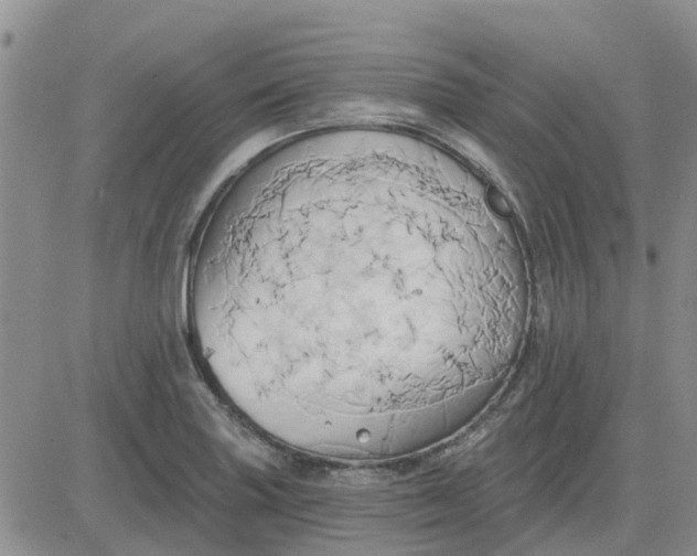 X0000081301227200701251710