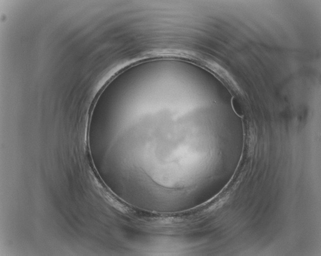 X0000081301228200701251710