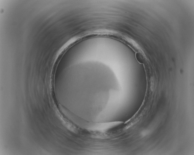 X0000081301229200701251710