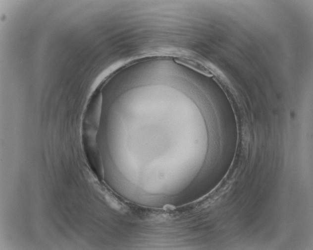 X0000081301230200701251710