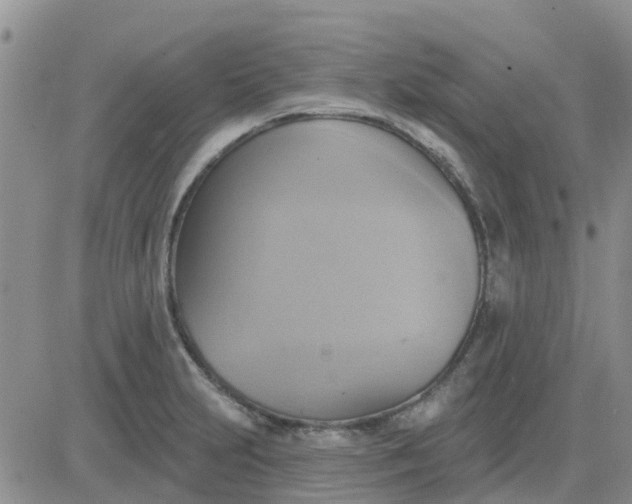 X0000081301231200701251710