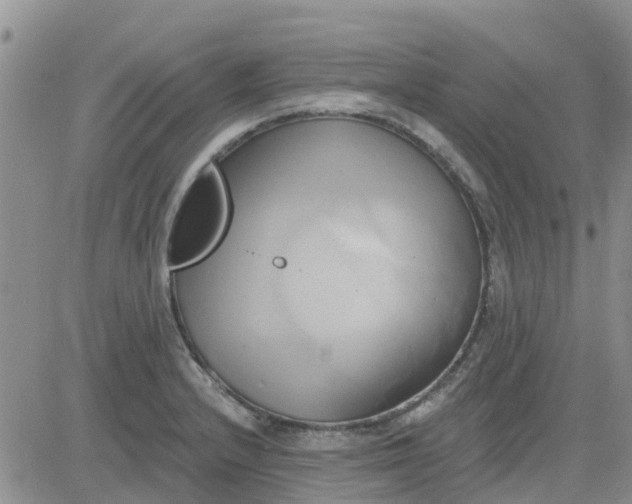 X0000081301232200701251710