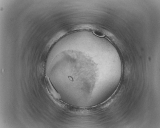 X0000081301233200701251710