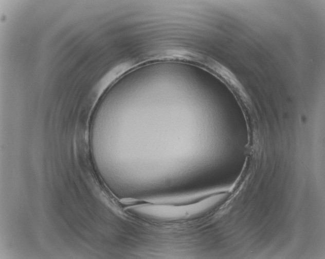 X0000081301234200701251710