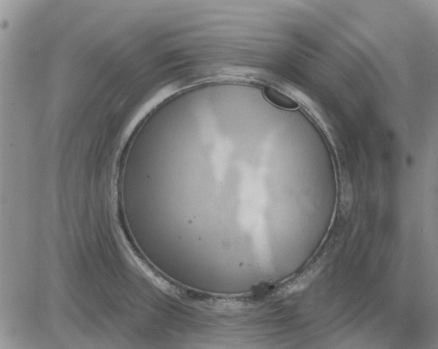 X0000081301235200701251710