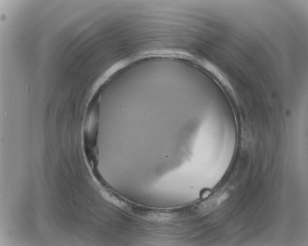 X0000081301237200701251710