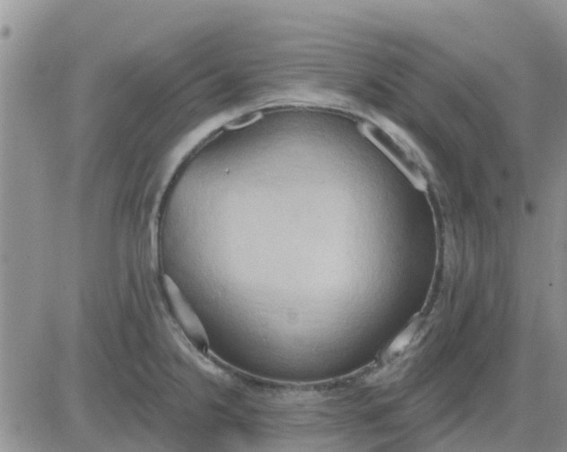 X0000081301238200701251710