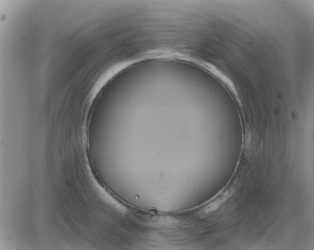 X0000081301239200701251710