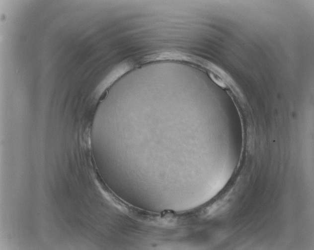 X0000081301241200701251710