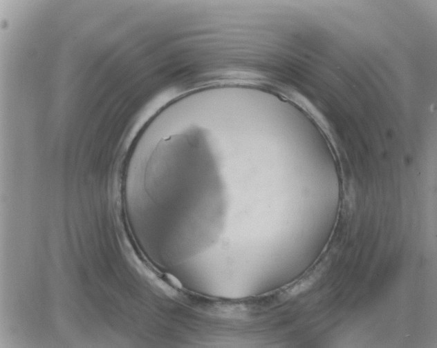 X0000081301243200701251710