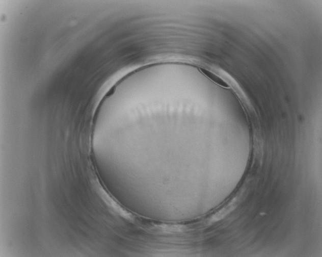 X0000081301244200701251710