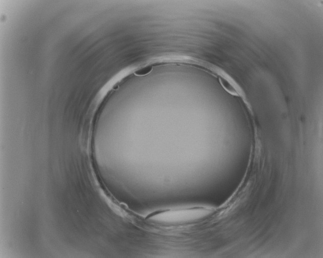 X0000081301245200701251710