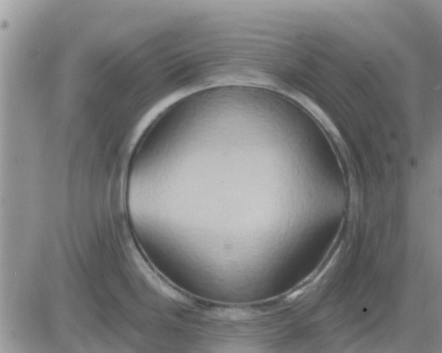 X0000081301246200701251710