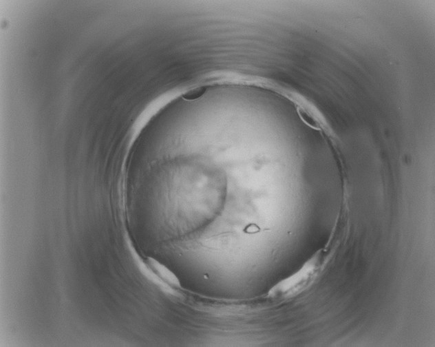 X0000081301247200701251710