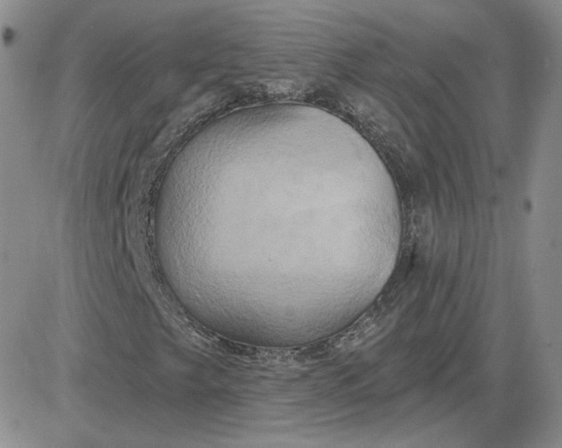 X0000081301249200701251709