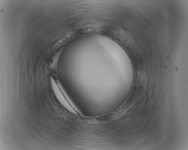 X0000081301250200701251709