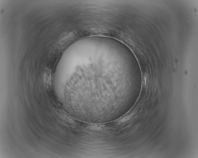 X0000081301251200701251709