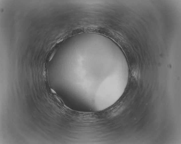 X0000081301252200701251709