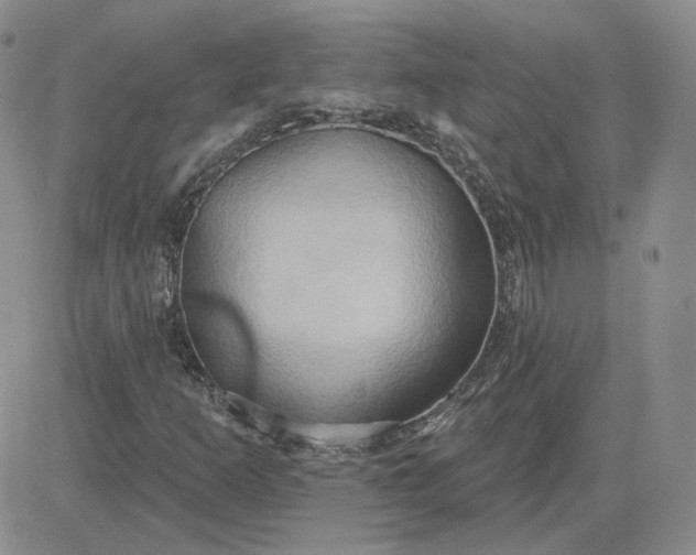 X0000081301253200701251709