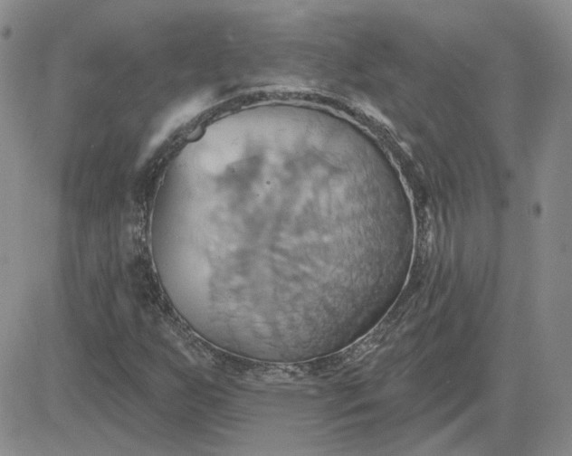 X0000081301255200701251709