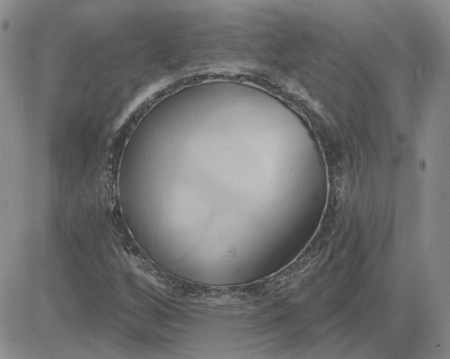 X0000081301256200701251709