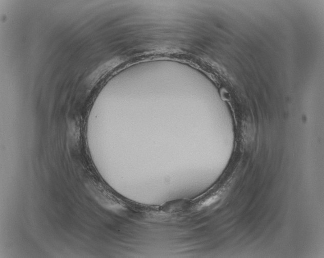 X0000081301257200701251709