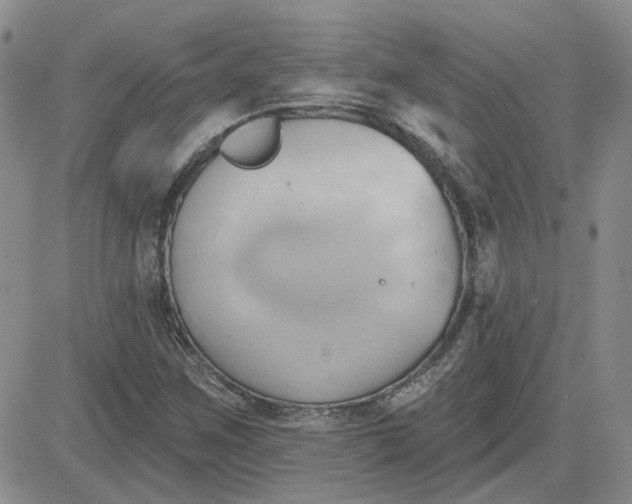 X0000081301259200701251709