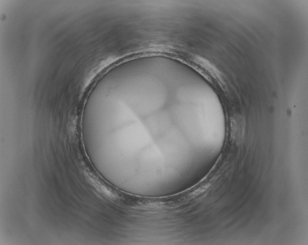 X0000081301260200701251709