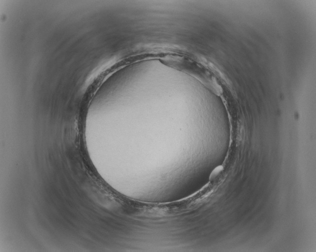 X0000081301261200701251709