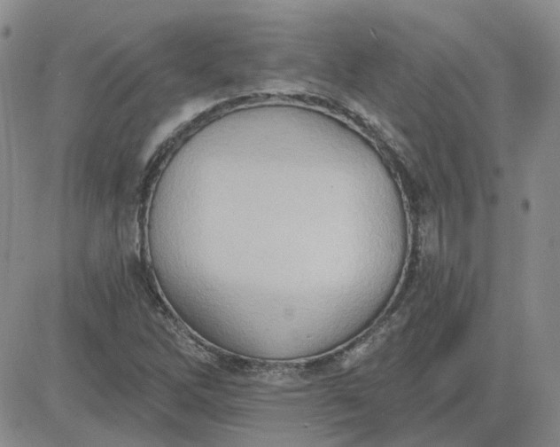 X0000081301262200701251709