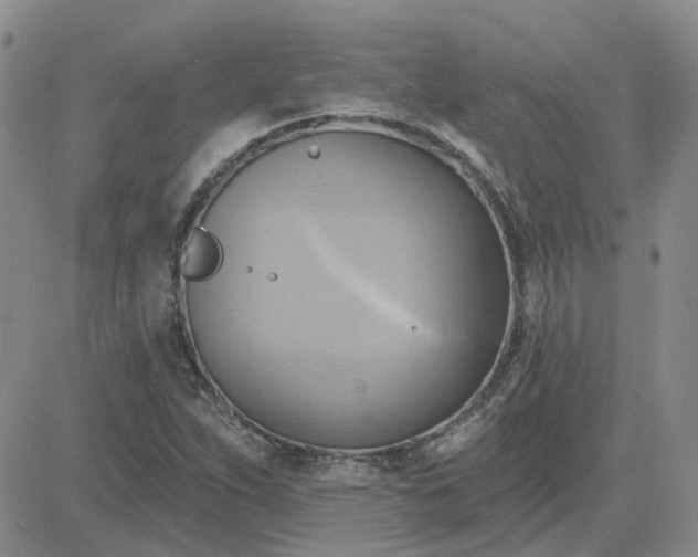 X0000081301263200701251709