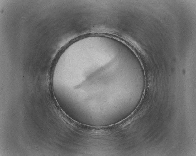 X0000081301264200701251709