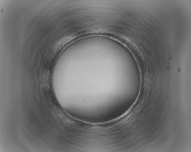 X0000081301265200701251709