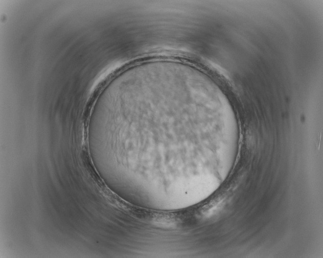 X0000081301267200701251709