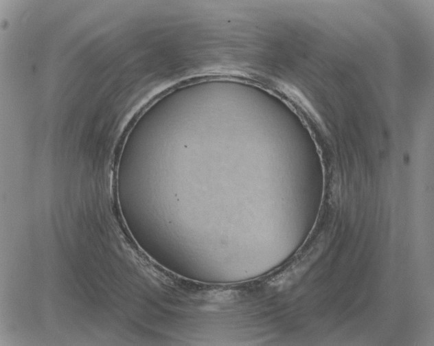 X0000081301268200701251709