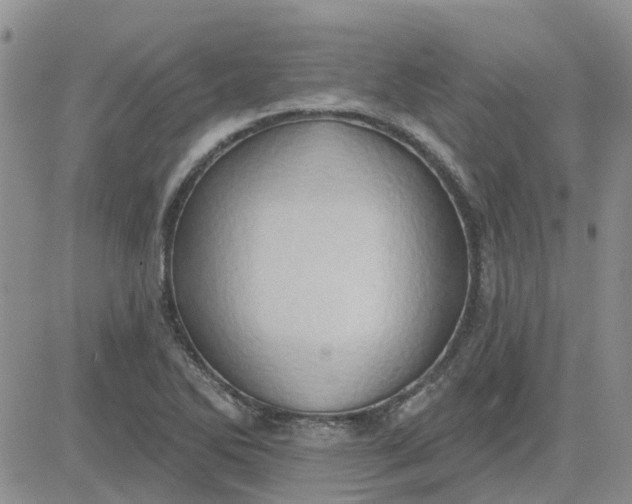 X0000081301270200701251709