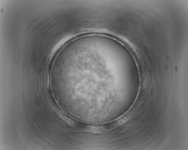 X0000081301271200701251709