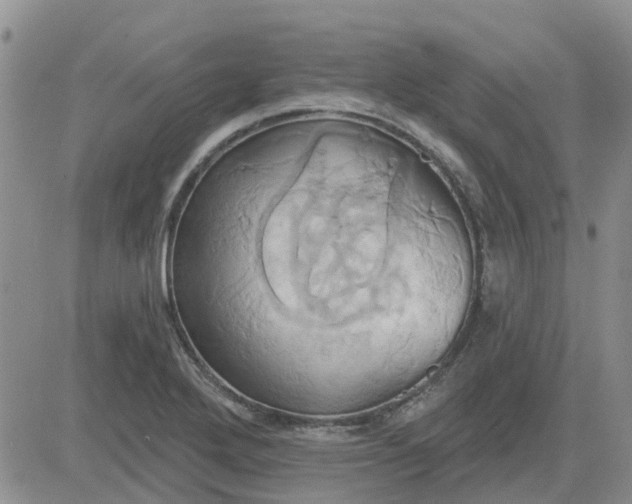 X0000081301272200701251709