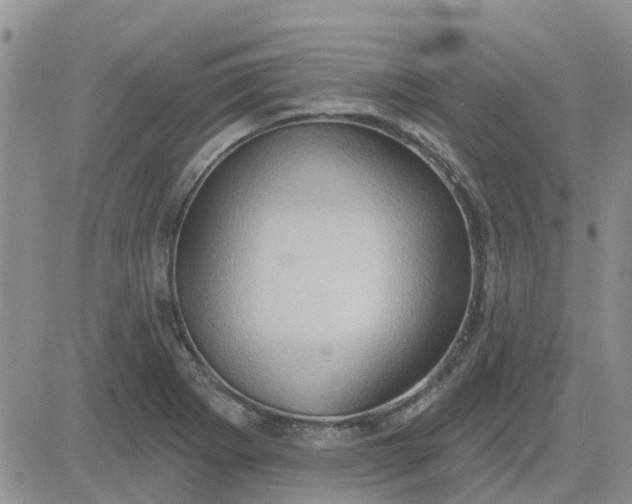 X0000081301273200701251709