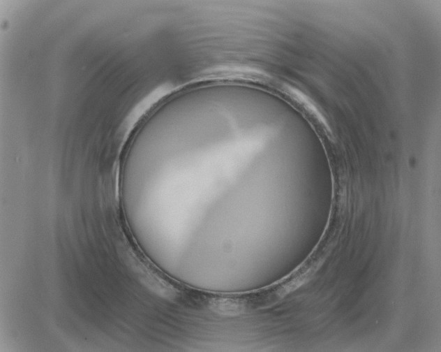 X0000081301275200701251709