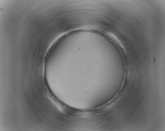 X0000081301276200701251709