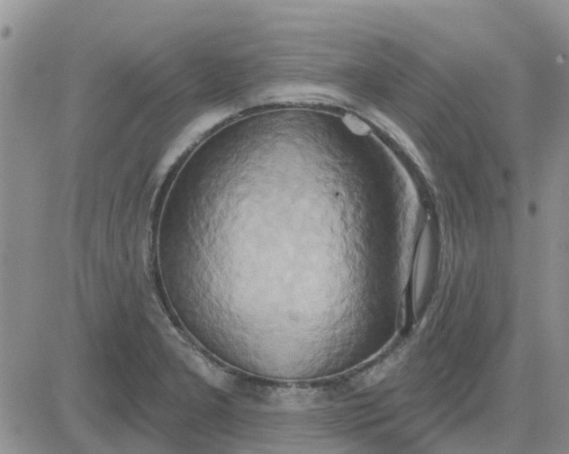 X0000081301277200701251709