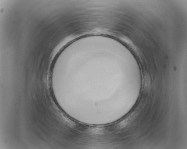 X0000081301278200701251709