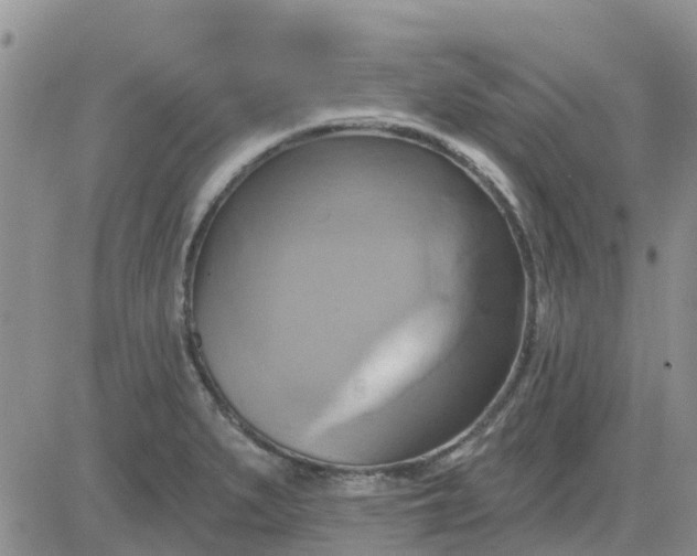 X0000081301279200701251709