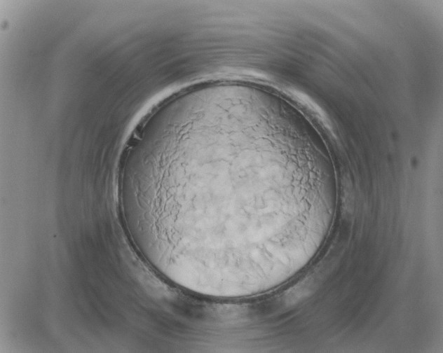 X0000081301280200701251709